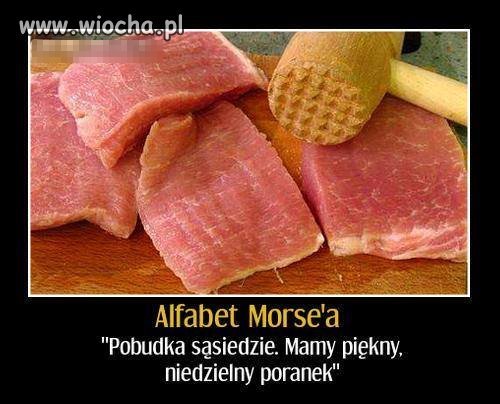 http://img.wiocha.pl/images/3/2/32260423228330606833afcc5ef5e1e6.jpg