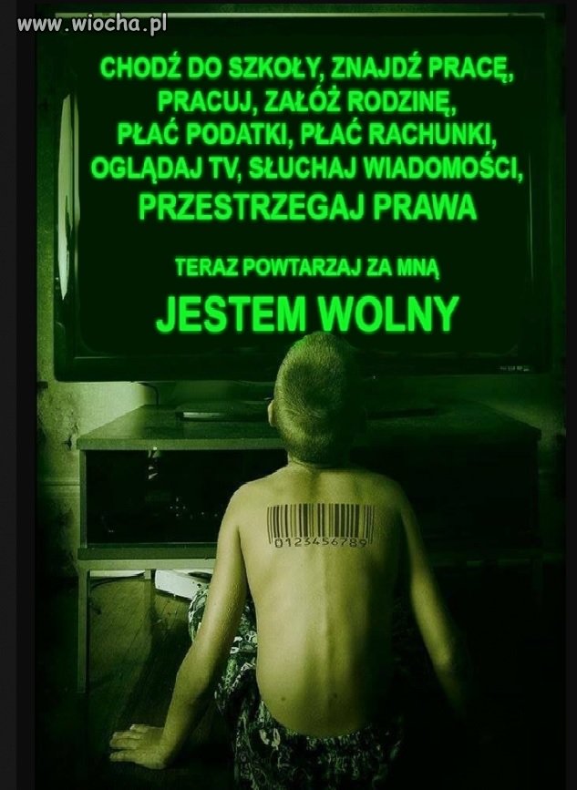 91dd7fb40a31b62b17403a833aec98d6.jpg?s=1385993751