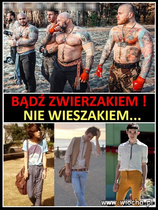 http://img.wiocha.pl/images/a/a/aa824006b039fc19d4eb670435d6170e.jpg