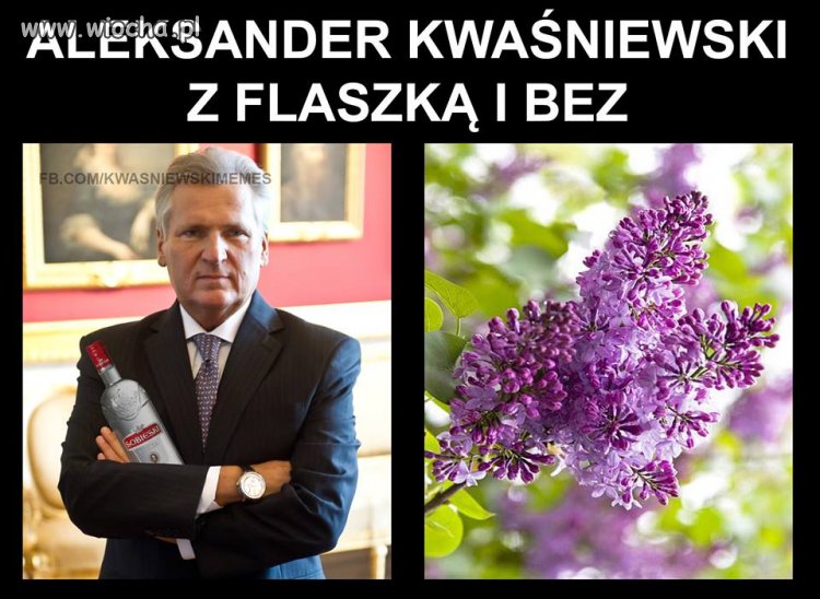 Obrazek