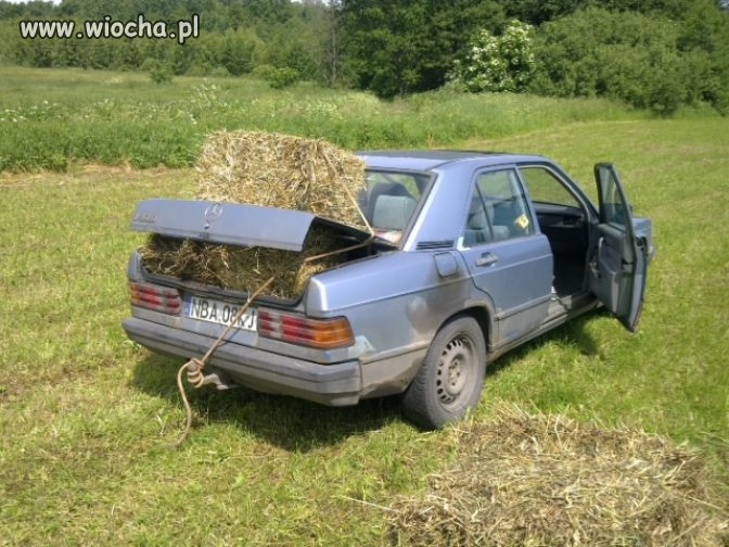 Ciuk! wiocha.pl absurd 102686