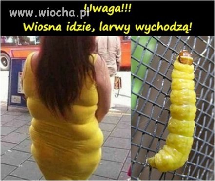 img.wiocha.pl/images/f/a/faf5658fda3808d9477b046e8bf0f7f8.jpg