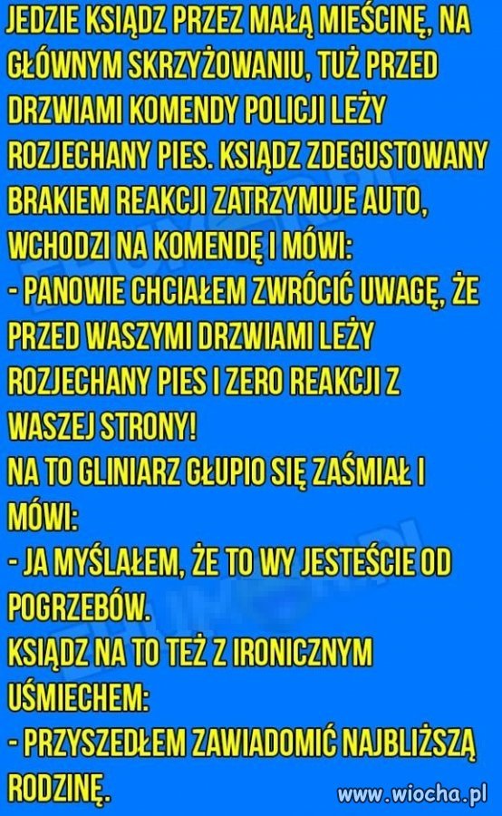 06167fc67f02616edf5c11bebf7c5a0d.jpg?s=1