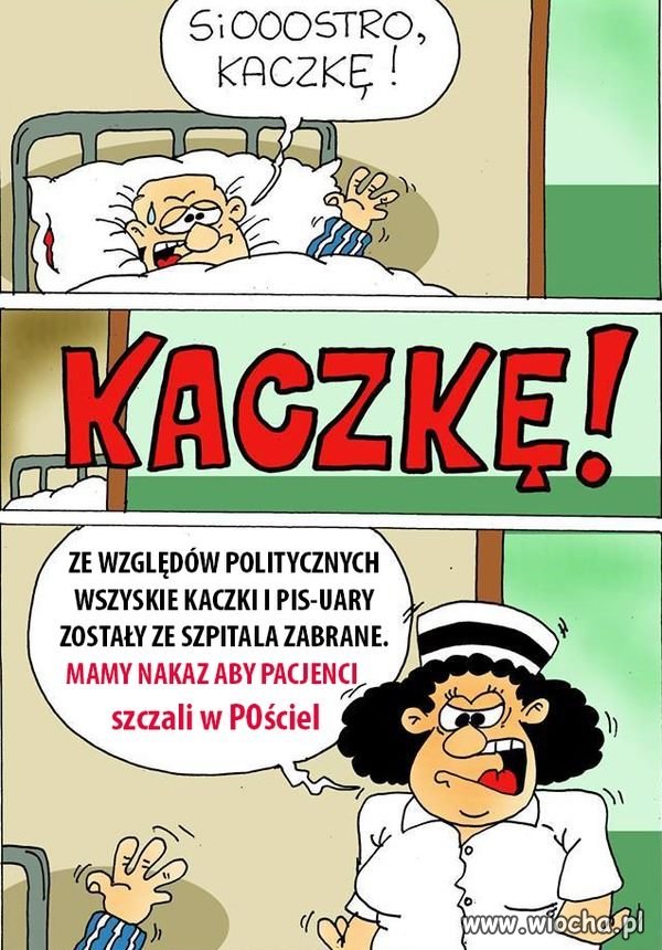 Obrazek