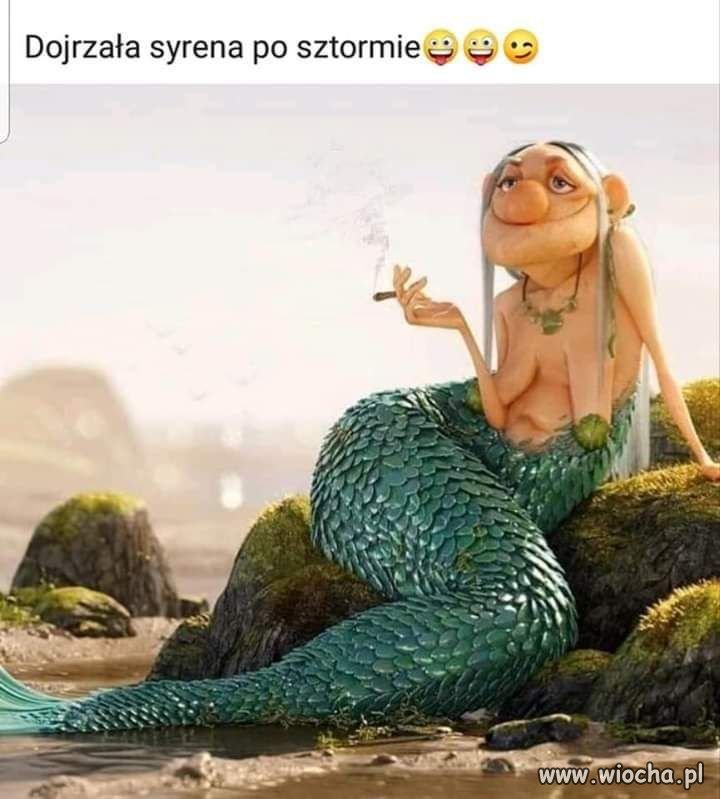 0f1e0d5c406642f27bf84c7bef10b33b.jpg?s=1