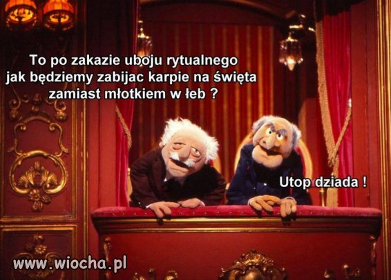 Obrazek