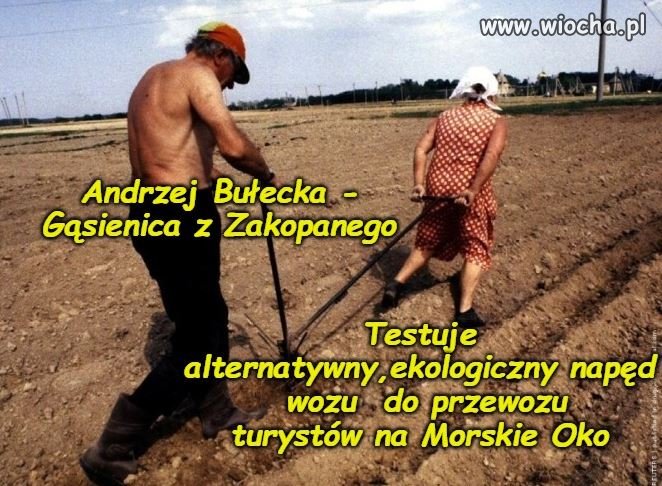 Obrazek