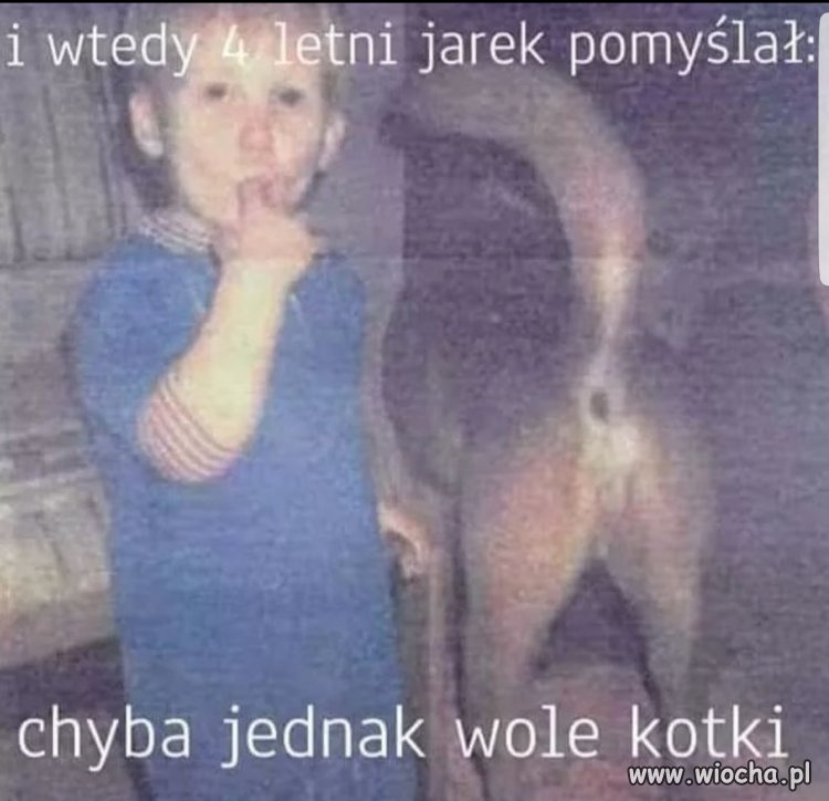 Obrazek