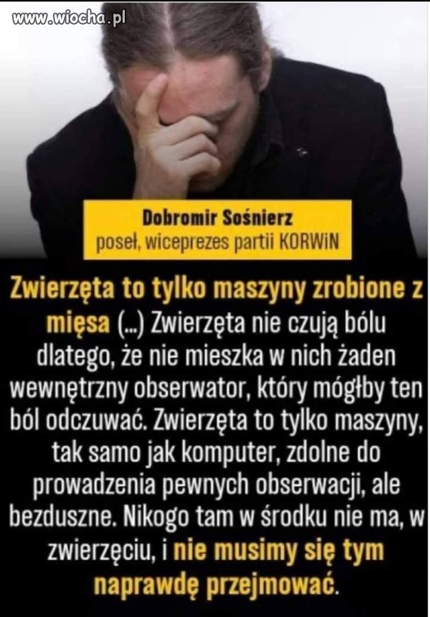 Ludzie - wiocha.pl absurd 1642877