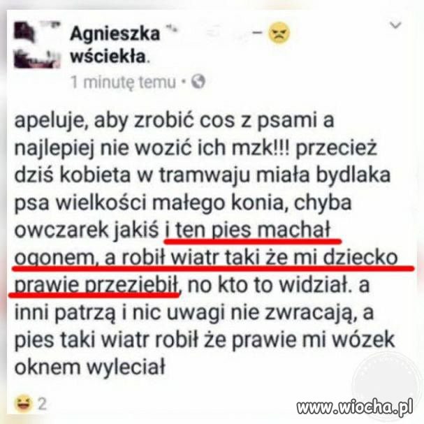 Obrazek