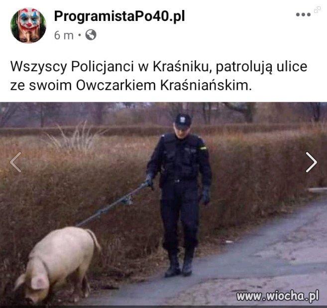 Obrazek