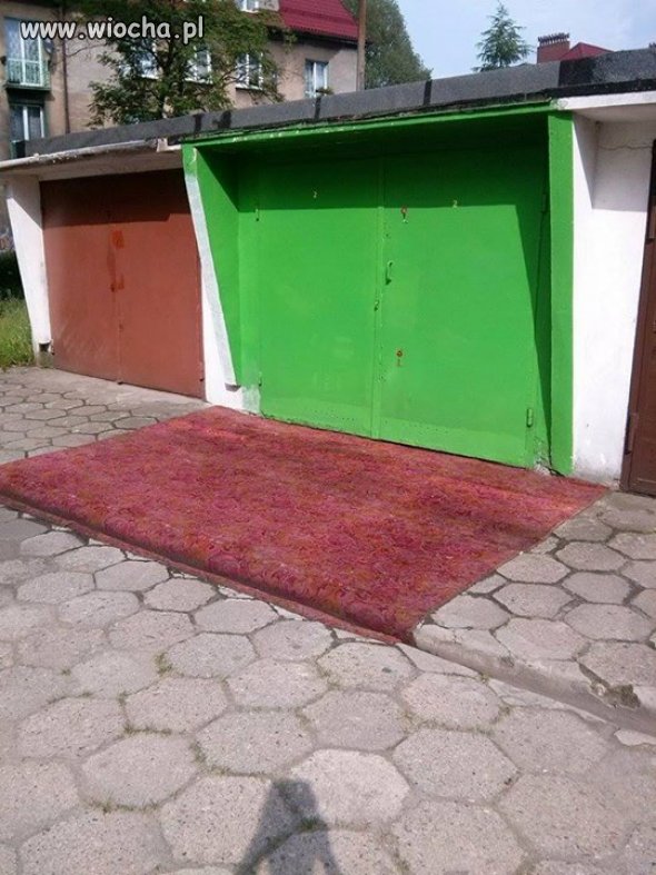 Znalezione obrazy dla zapytania: dywan w garazu"