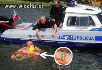 8d0003c65c8b972fa1d9121c00a2d9be.jpg