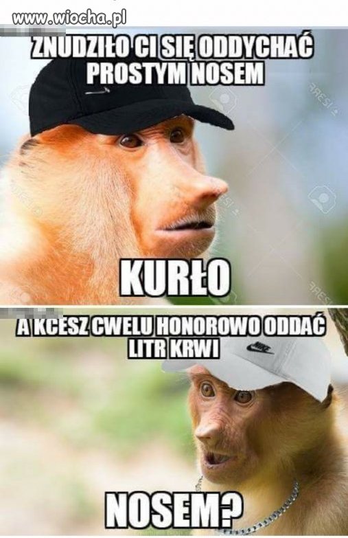 b0b2634c0f88160b042f090045d28be0.jpg