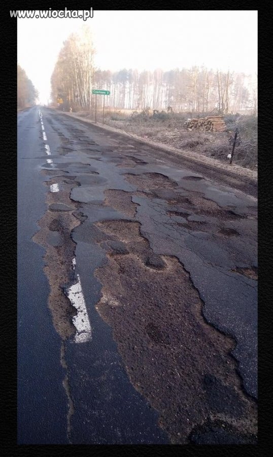 Polskie Drogi - Wiocha.pl Absurd 1419728