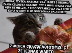 kto nie ryzykuje szampana nie pije kto nie ryzykuje szampana nie pije