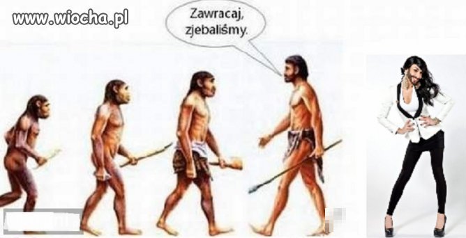 Obrazek