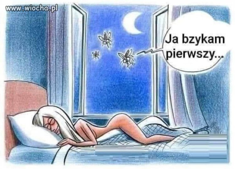 Obrazek