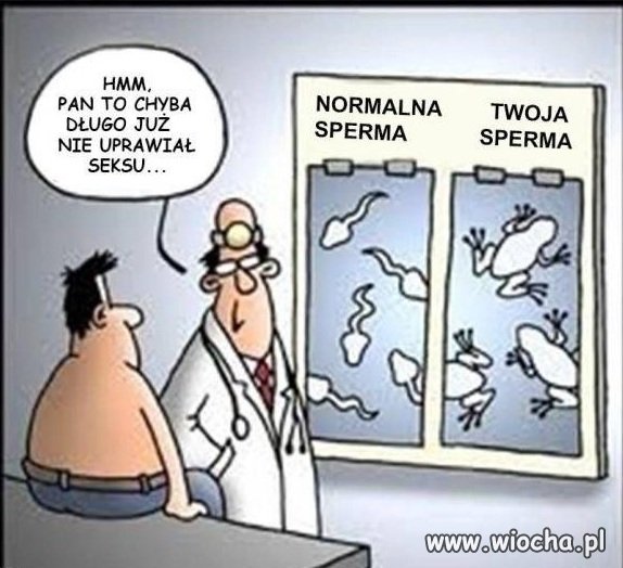 https://img.wiocha.pl/images/c/9/c978730a599dffb6ef0dda6bf8fbf18d.jpg