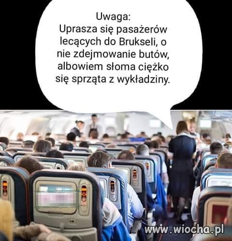 c9d391cadc3b3d31d1e97f3459ea8fd4.jpg