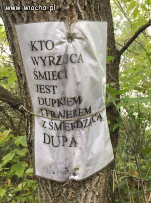 Zawiśnie W Lesie Każdy Kto Doniesie Kto wyrzuca śmieci w lesie - wiocha.pl absurd 1382508