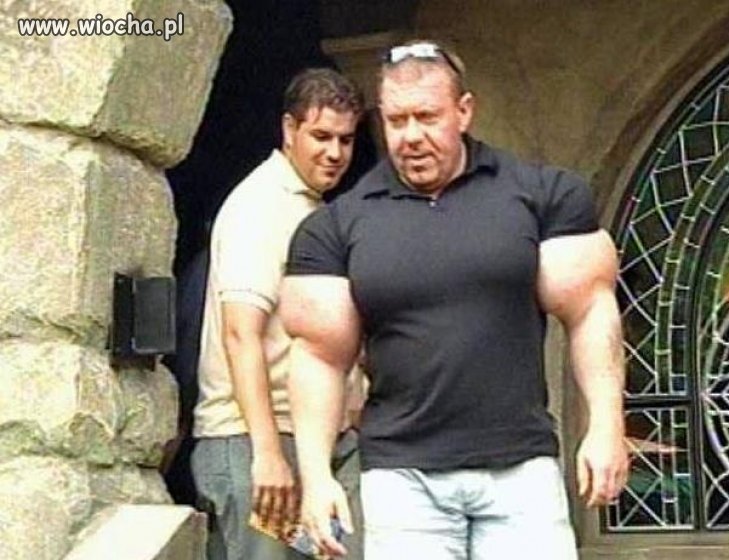 Synthol Fail