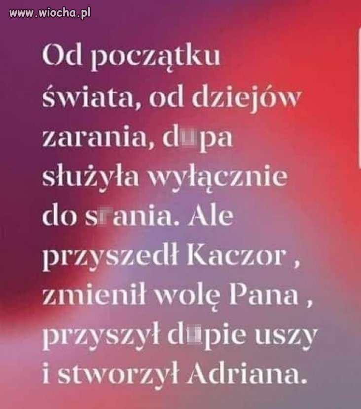 Obrazek