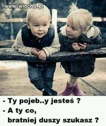Kto się lubi