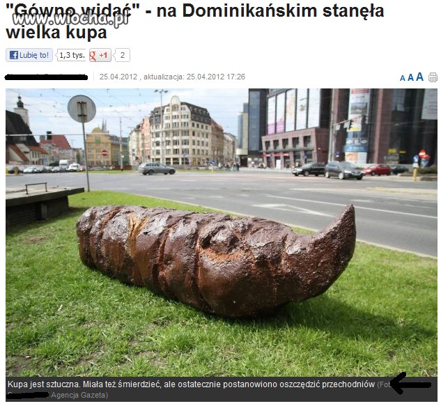 Wielka kupa wiocha.pl absurd 737606