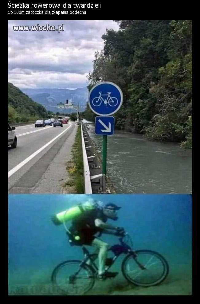 00c056bd38e2888dea99c060fd6572c7.jpg