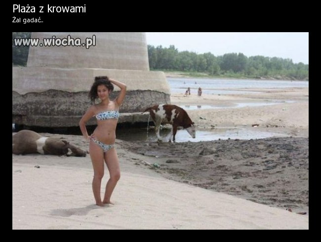 110d1650bf085c0cdcdc85596dba9143.jpg