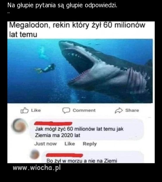 4a6dffccefe4135e925e9d48faa09e47.jpg